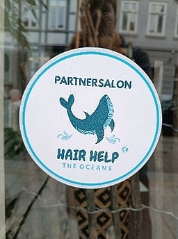 Logo von Hair Help mit Walmotiv
